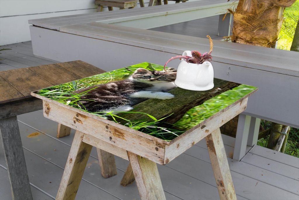 Wallario selbstklebende Möbelfolie/ Tischdecke für Innen und Außen, Größe: 90 x 90 cm - Süßes Kätzchen an einem Baum