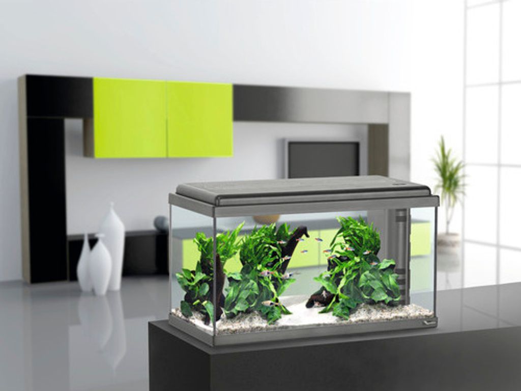 Aquarium aquatlantis Advance 60 mit LED-Beleuchtung, Produktbild 4