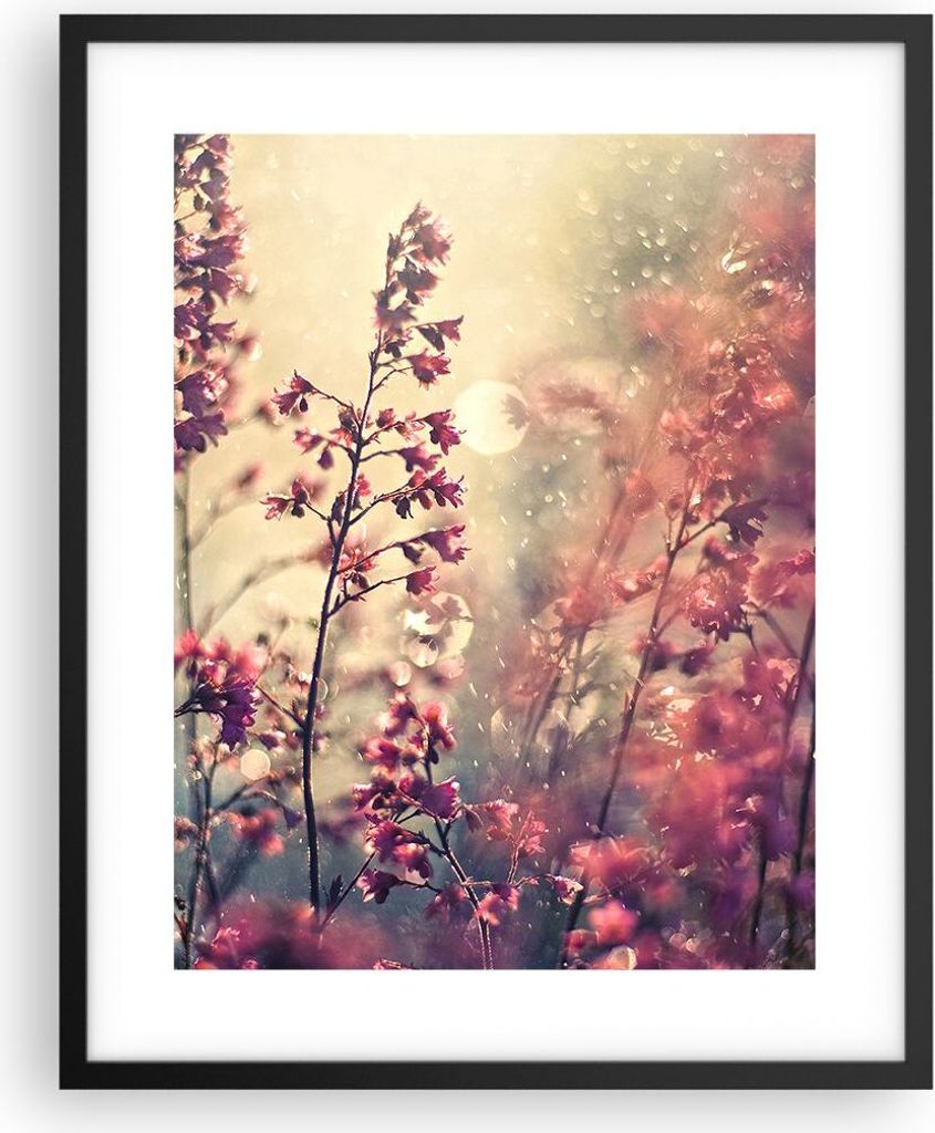 Gerahmtes Poster - Schwarzer Rahmen - Blumen Regen Licht - 40x50 cm - Wand Bild - Wanddeko - Wandbilder - Kunstposter - Wandposter - Bilderrahmen -...