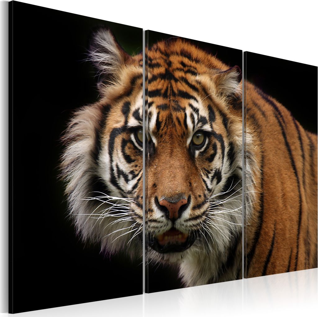 Modernes Wandbild 030216- 15 (120x80) - 3 Teilig Bilder Fotografie auf Vlies Leinwand Foto Bild Dekoration Wand Bilder Kunstdruck Natur