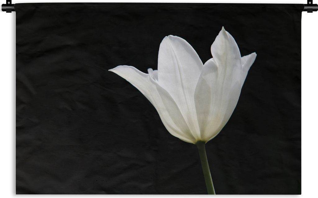 MuchoWow Wandteppich Wandbehang Weiße Tulpe 60x40 cm Tapisserie Dekoration Wandtuch - Wanddekorationen