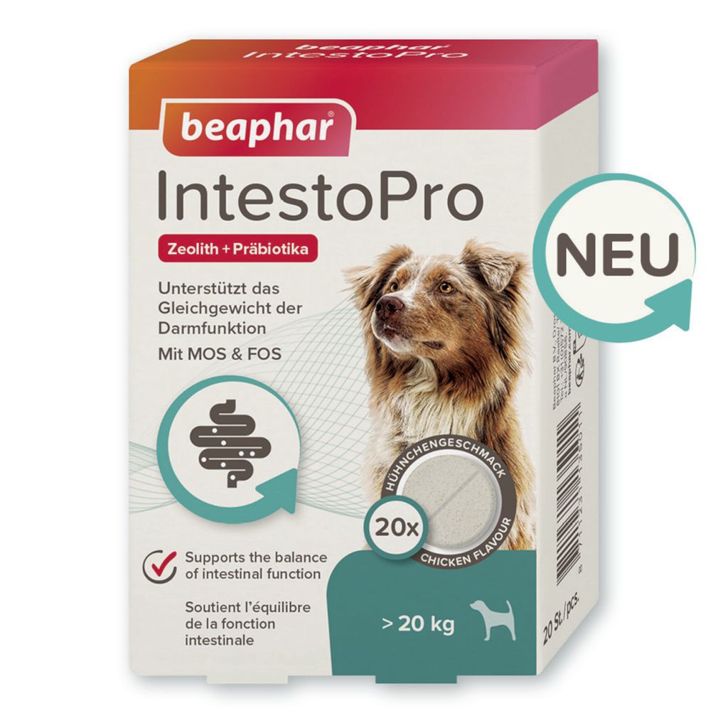 Beaphar IntestoPro Tabs für große Hunde - Unterstützt das Gleichgewicht der Darmfunktion - 20 Stück