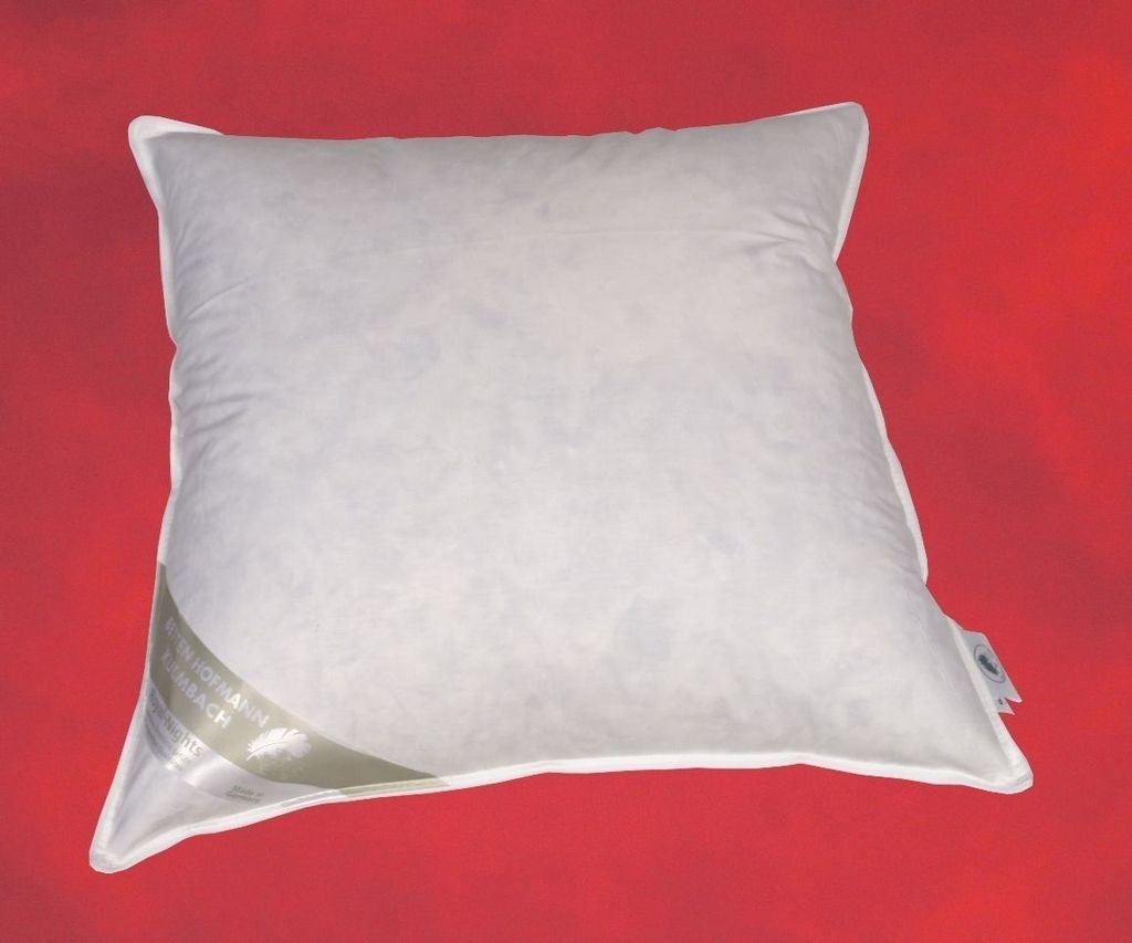 FRANCE Kissen Kopfkissen Daunenkissen Polster 65x65 60% Daunen angenehm weich 650 g medium