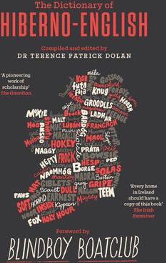 A Dictionary of Hiberno English