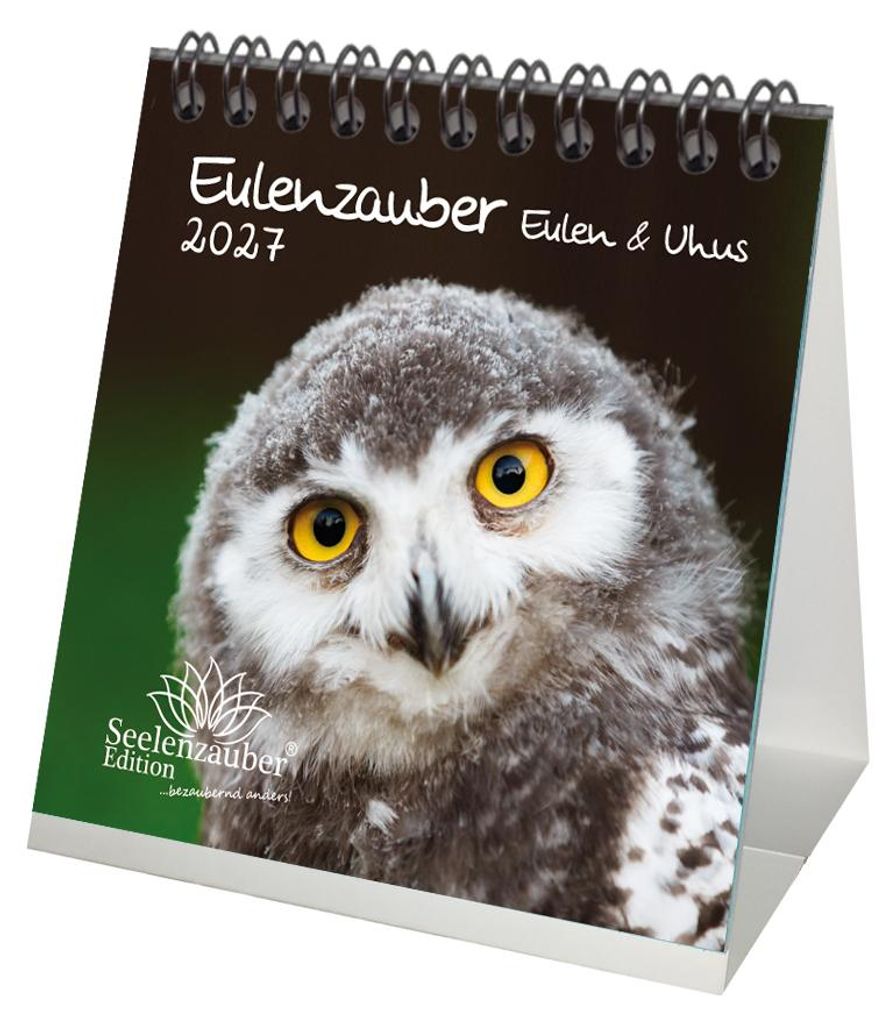 Eulenzauber Eulen und Uhus Tischkalender 10x10cm für 2027 - Seelenzauber