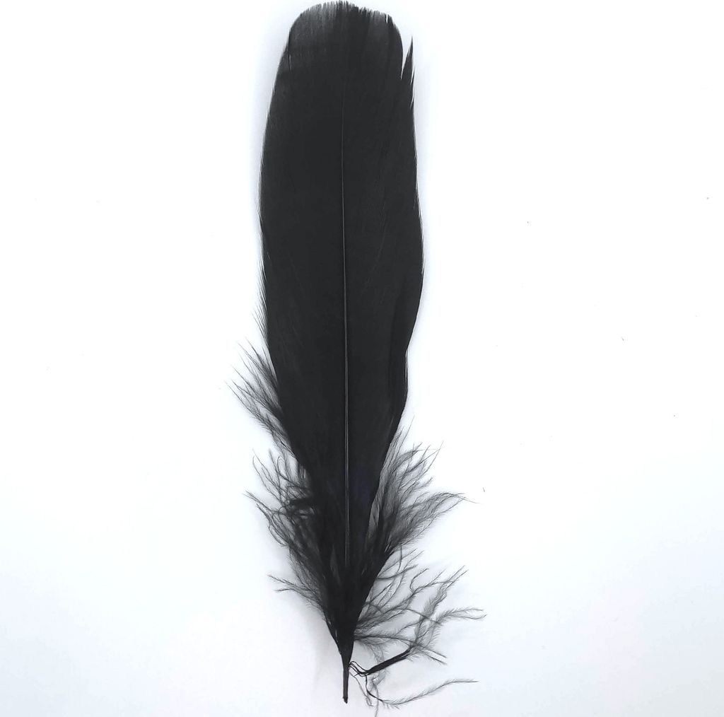 Husie perie, cca 15-20 cm, 10 kusov, čierne Obrázok produktu 