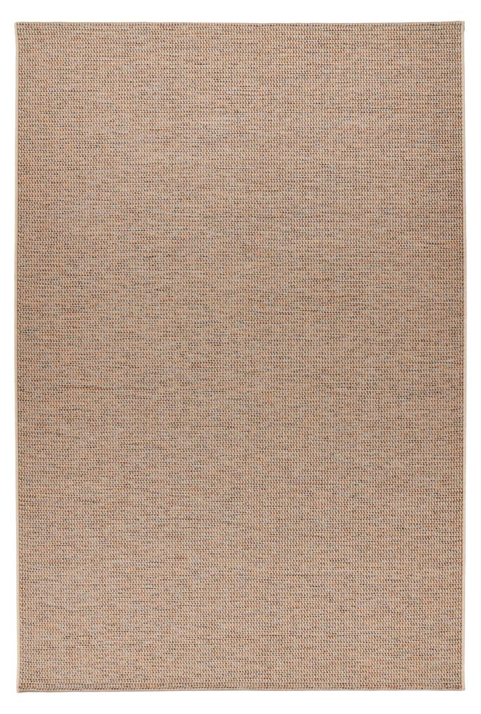 Teppich Tribal 225 Multi 200x290 cm – Pflegeleicht & Produktbild 