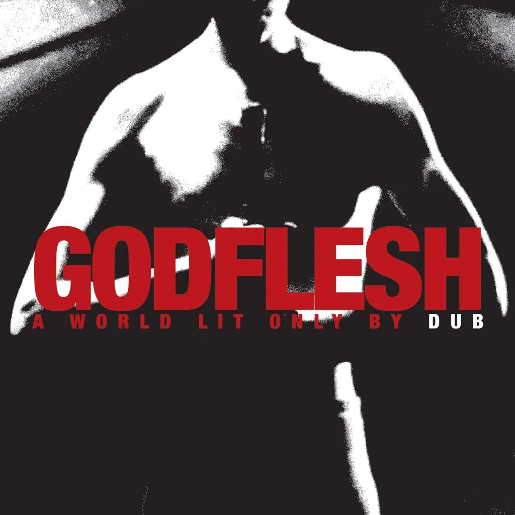 Album Godflesh World Lit Only By Dub pour Collectionneur de Musique