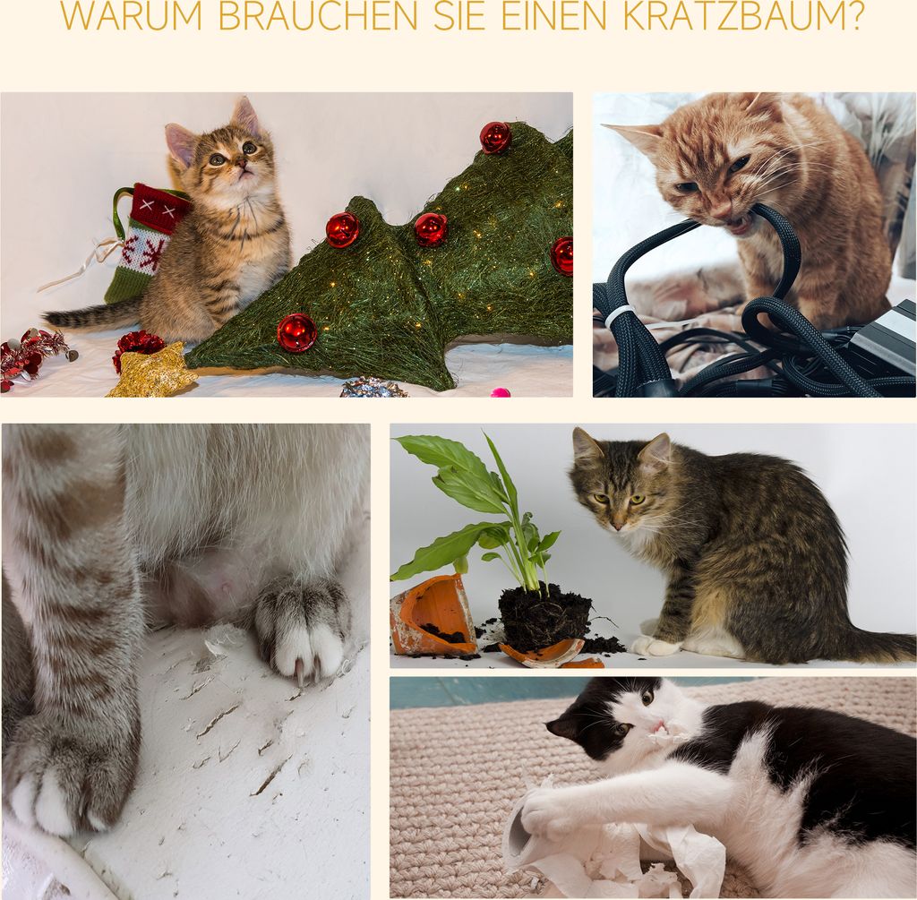 PawHut Kratzbaum Deckenhoch höhenverstellbar, stabiler Produktbild 7