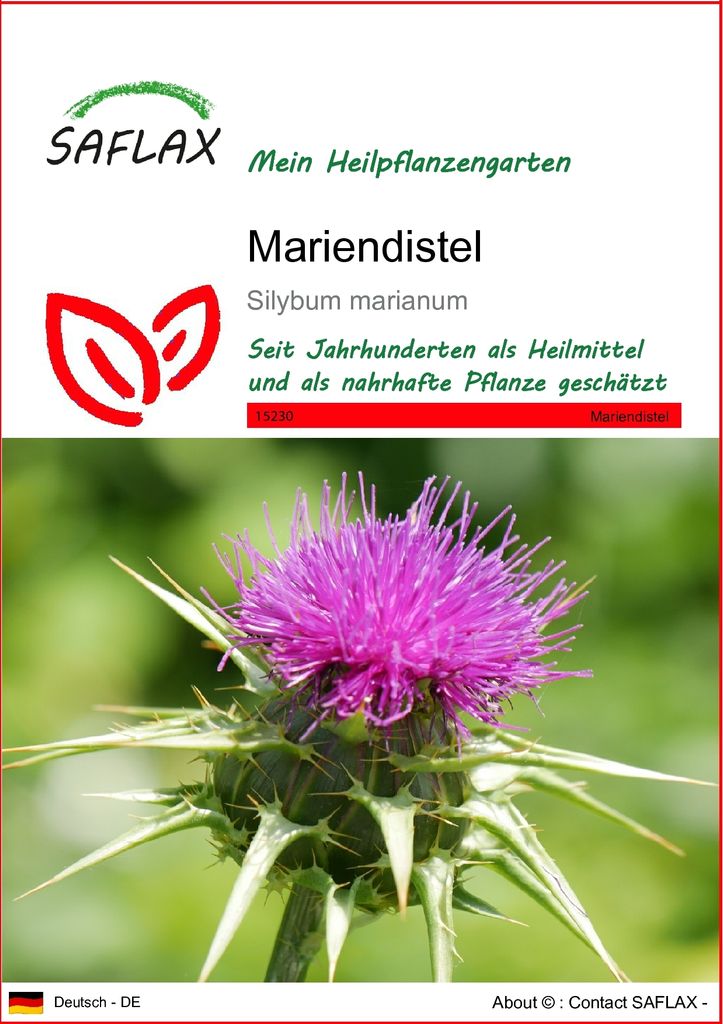 SAFLAX - Heilpflanzen - Mariendistel - 75 Samen - Silybum Produktbild 