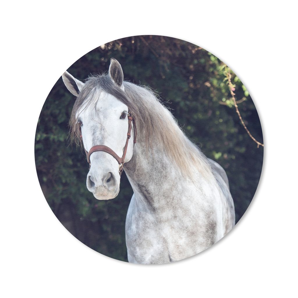 MuchoWow Mauspad Mousepad Pferd - Halfter - Natur 50x50 cm - Mousepads - Maus Mat - Pad - Mausunterlage - Vinyl