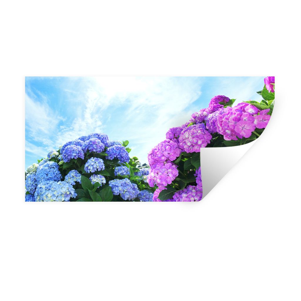 MuchoWow Wandtattoo Wandsticker Wandaufkleber Hortensie für blauen Himmel 80x40 cm Selbstklebend und Repositionierbar - Aufkleber