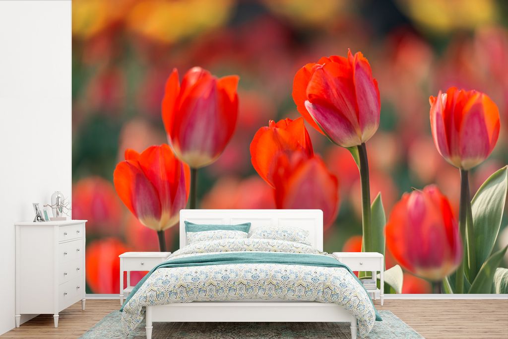 MuchoWow Fototapete für Wohnzimmer oder Schlafzimmer Wandtapete Vinyl Motivtapete Eine Nahaufnahme von roten Tulpen - 420x280 cm - Zimmer für K...
