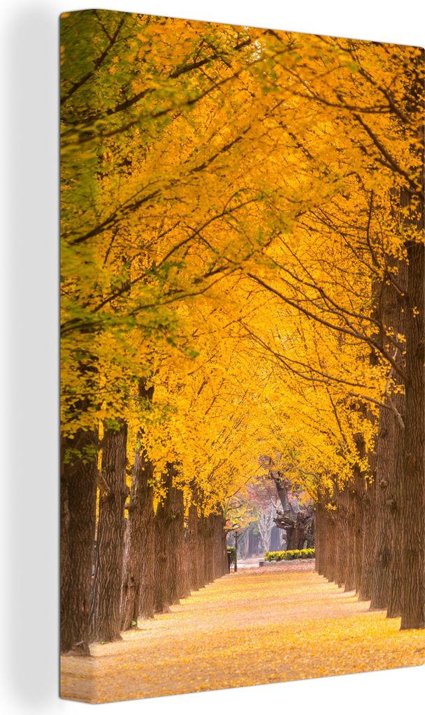 OneMillionCanvasses - Leinwandbilder - 90x140 cm, Gelbe Bäume in Südkorea, Wandbilder Kunstdruck Wanddekoration - Wandschmucke - Schlafzimmer