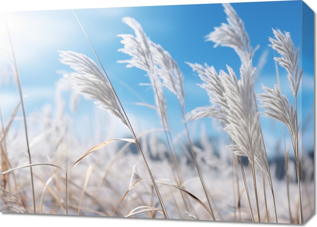 Bild 70x50cm Rauschen zwischen dem Gras