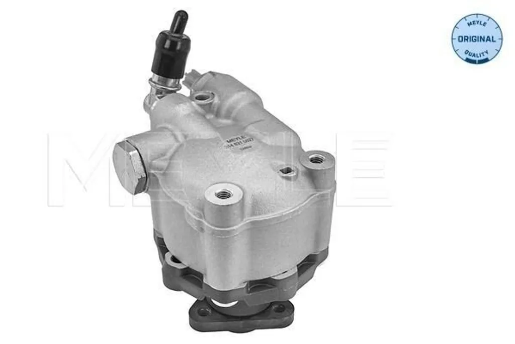 Plus de bruit de direction sur BMW X3 E83 grâce à cette pompe robuste - 2