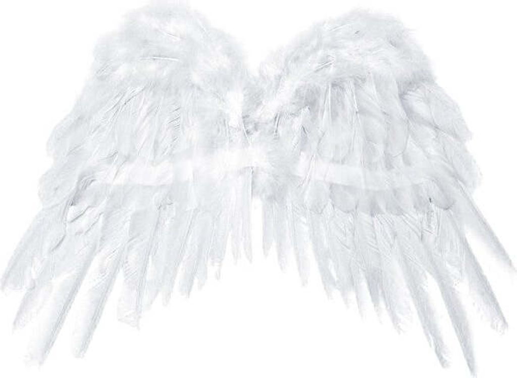Engelsflügel , Auswahl:SK1-008 53cm x 37cm weiß Produktbild 