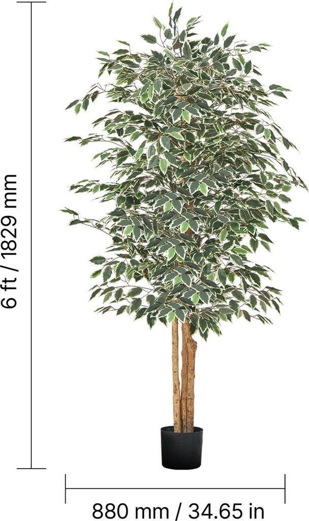 Albero di Ulivo Cm 15 - Scenografia Vegetazione per Presepe, Pastori e
