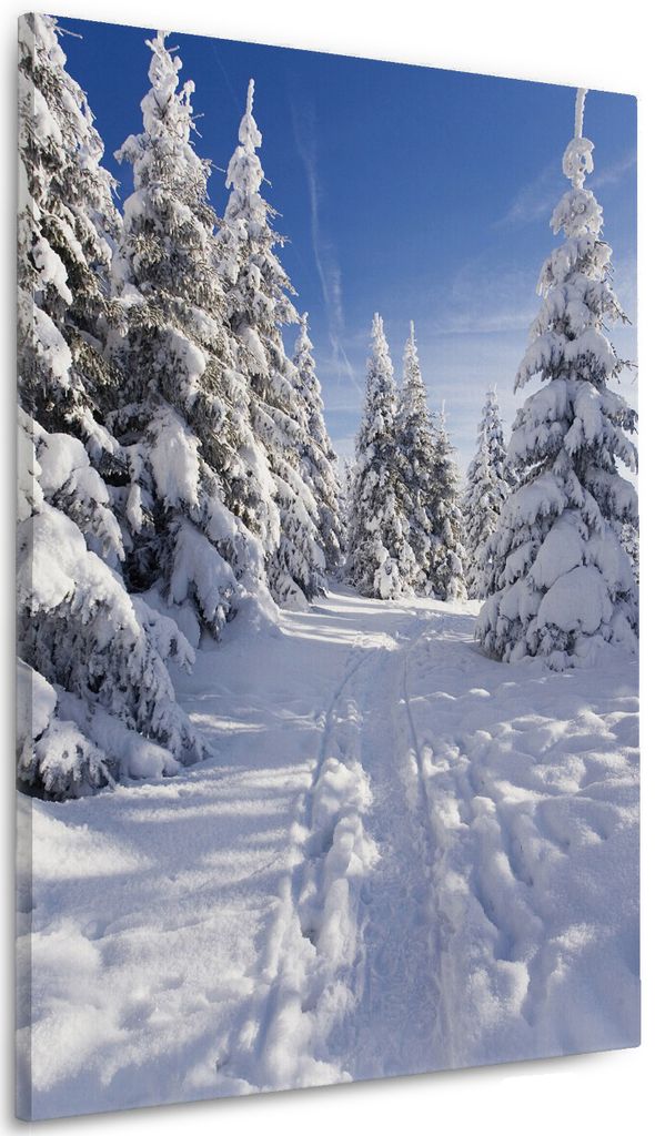 Wallario Premium Leinwandbild Wanderweg im Schnee in Größe 60 x 90 cm