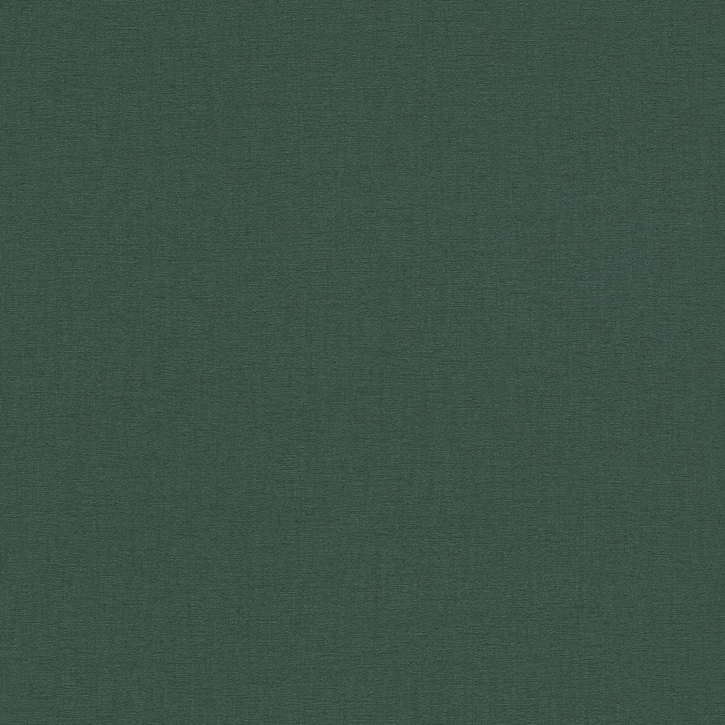 Tapete Uni Einfarbig M1-No.11166 Vlies Grün Tadessi 10.05 m Produktbild 