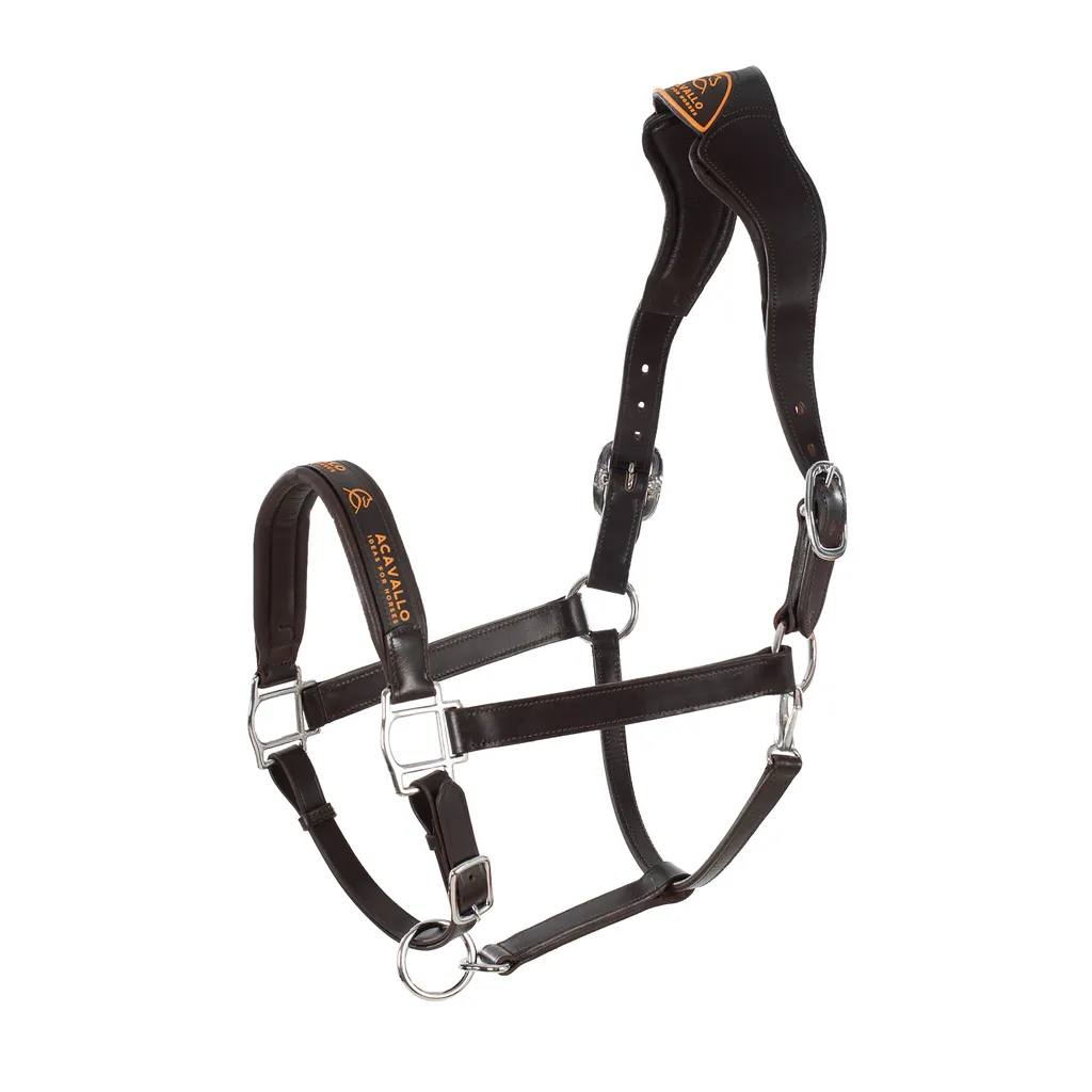 Acavallo Halfter Cuir Anatomique : Licol de Luxe pour Confort Équin