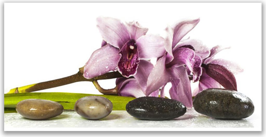 Glasbilder 140x70 Wandbild Druck auf Glas Blumen Steine Pflanzen