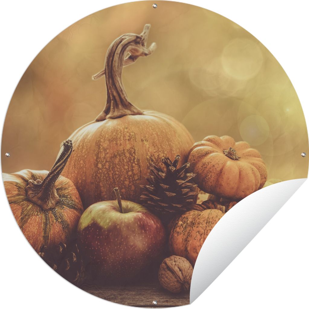 MuchoWow Gartenposter Outdoor-Poster Rund Kürbis - Herbst - Tannenzapfen - Obst - Apfel Ø 150 cm Gartendeko Rundes Poster draußen