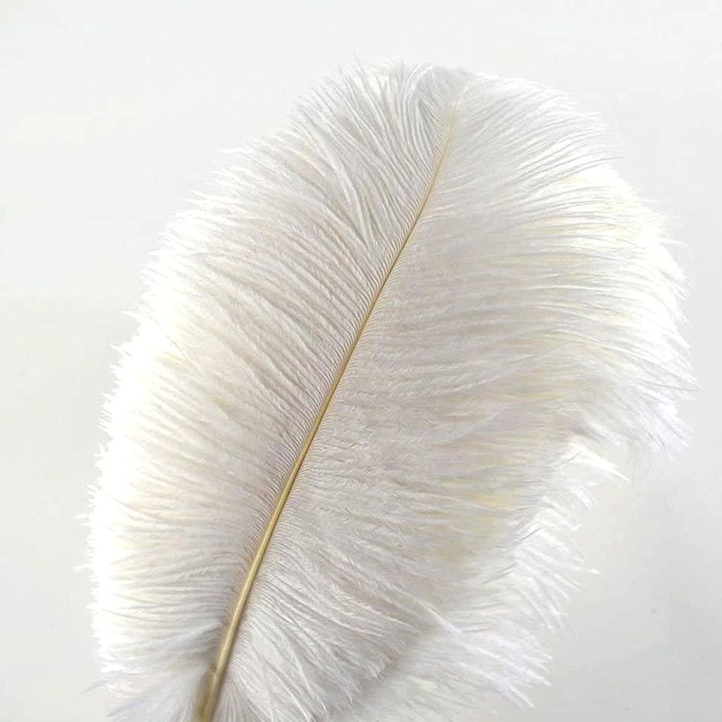 10Pcs Straußenfedern 12-14Inch (30-35cm) Für Haus Produktbild 