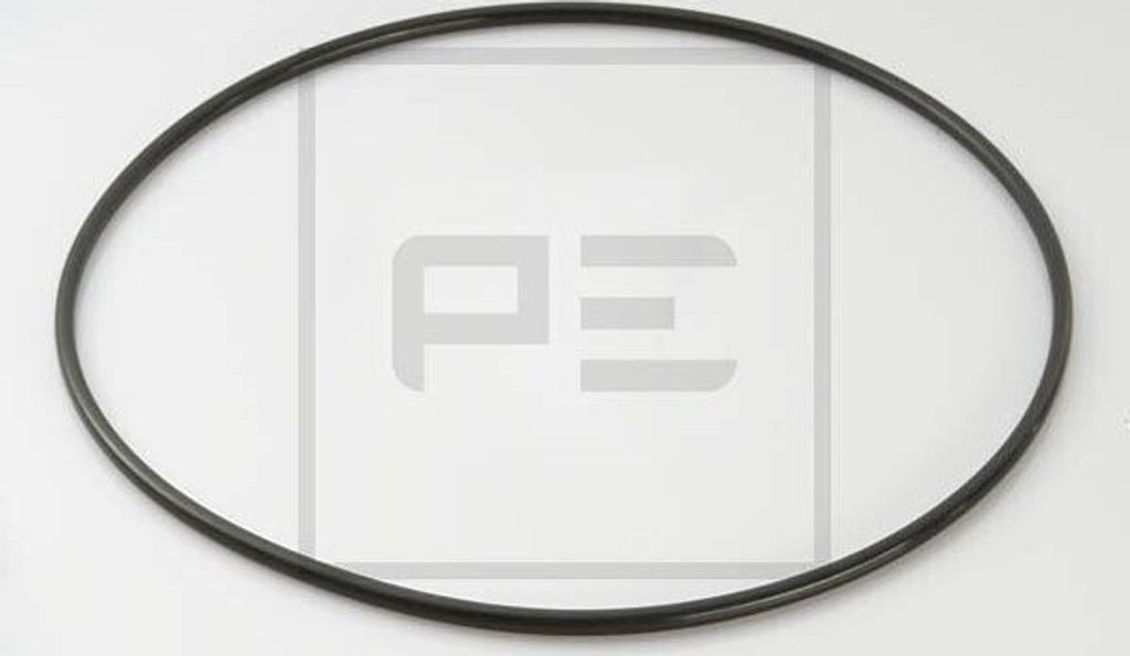 PETERS ENNEPETAL Dichtring Radnabe-Planetengetriebe 011.077-00A passend für MERCEDES-BENZ ACTROS 6mm 270mm 0,031kg