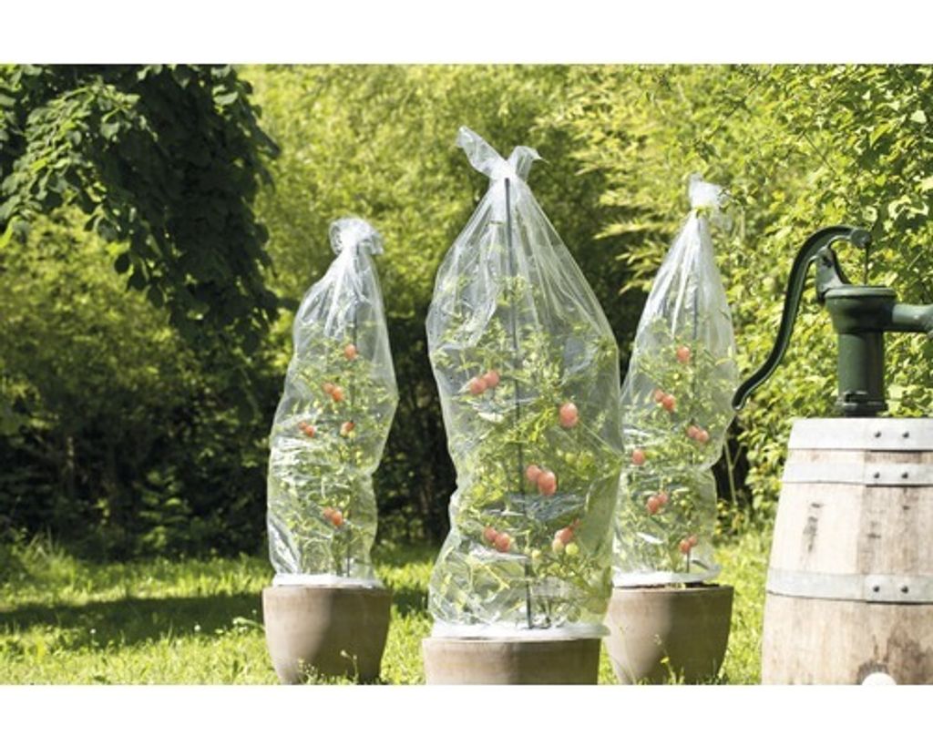 Fólie na rajčata FloraSelf 10x0,65 m průhledná Obrázek produktu 
