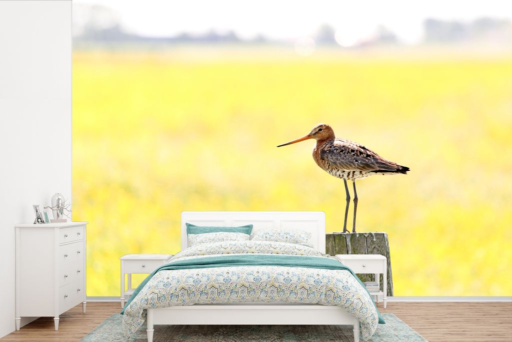 MuchoWow Fototapete für Wohnzimmer oder Schlafzimmer Wandtapete Vinyl Motivtapete Uferschnepfe auf einem Pfahl sitzend - 360x240 cm - Vinyl-Tapete