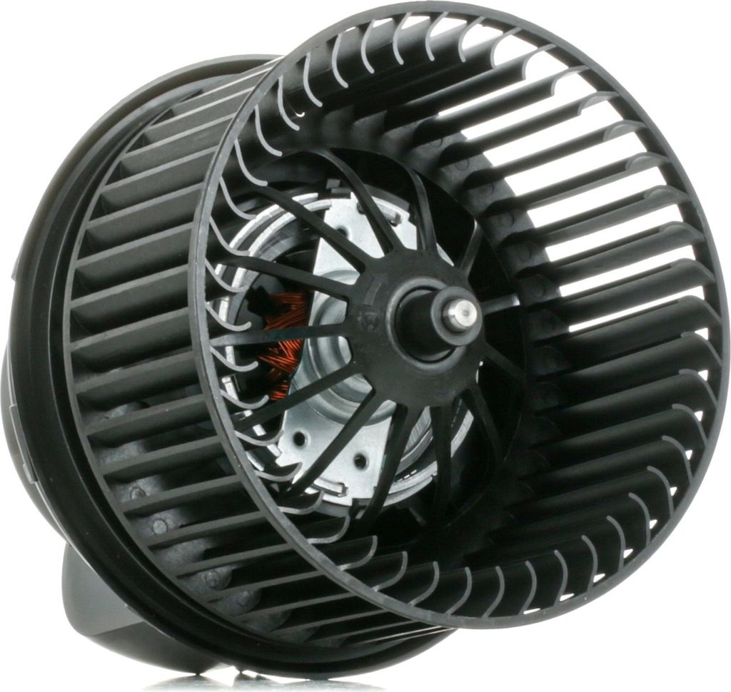 RIDEX 2669I0201 Gebläsemotor Innenraumgebläse für FORD FOCUS III Turnier Kuga Mk2 (DM2) MONDEO IV Turnier (BA7) Focus II Schrägheck (DA, HCP, DP)