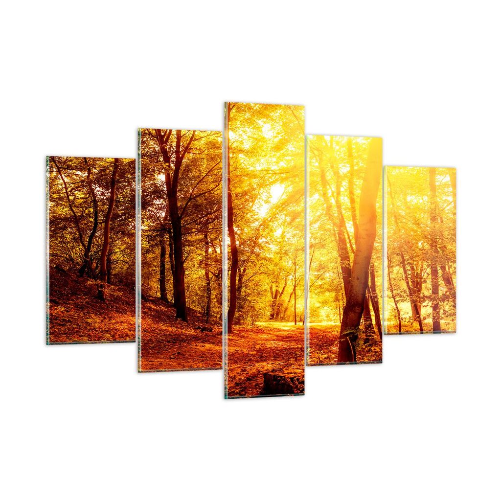 Bilder auf glas - Wald Baum Natur - 150x100cm - Glasbilder - Wandbilder - Kunstdruck - zum Aufhängen bereit - Wanddekoration aus Glas - Glas Bilde...