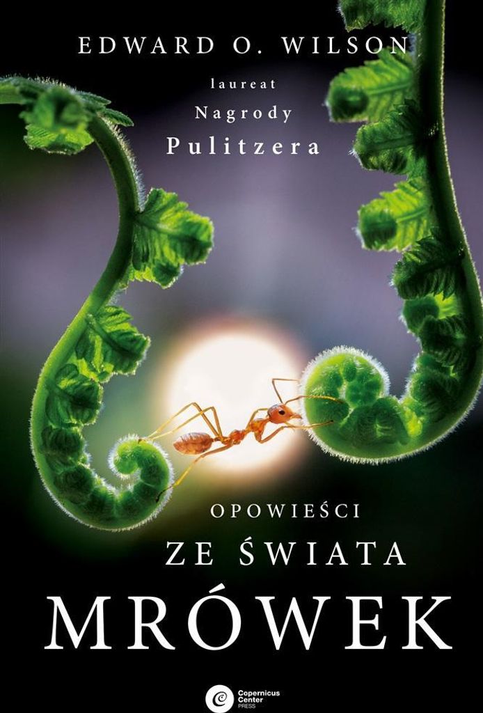 Opowieści Ze Świata Mrówek W.2024