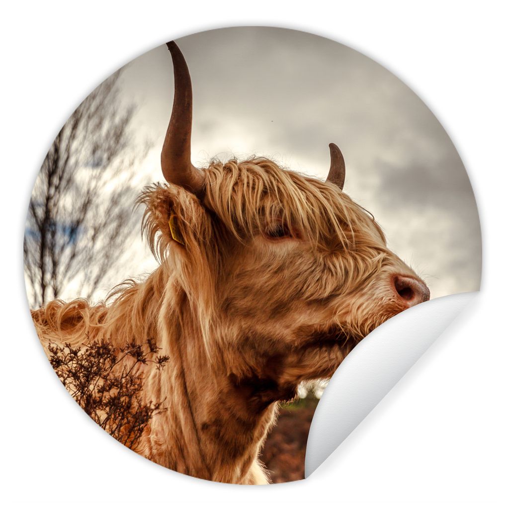 MuchoWow Runde Wandtattoo - Wandsticker Tapete Aufkleber Scottish Highlander - Strauch - Heidekraut Ø 100 cm Selbstklebend und Repositionierbar ...