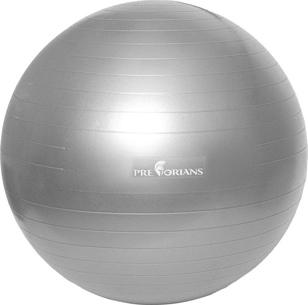 Gymnastikball 75 cm Anti Burst Fitnessball Sitzball Yoga-Ball Bis 100 kg mit Pumpe Grau
