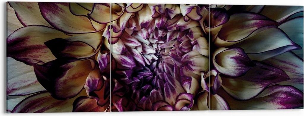 Bild auf Leinwand - Leinwandbild - 3 Teile - Blätter Agave Blume - 150x50cm - Wand Bild - Wanddeko - Wandbilder - Leinwanddruck - Bilder - Wanddek...