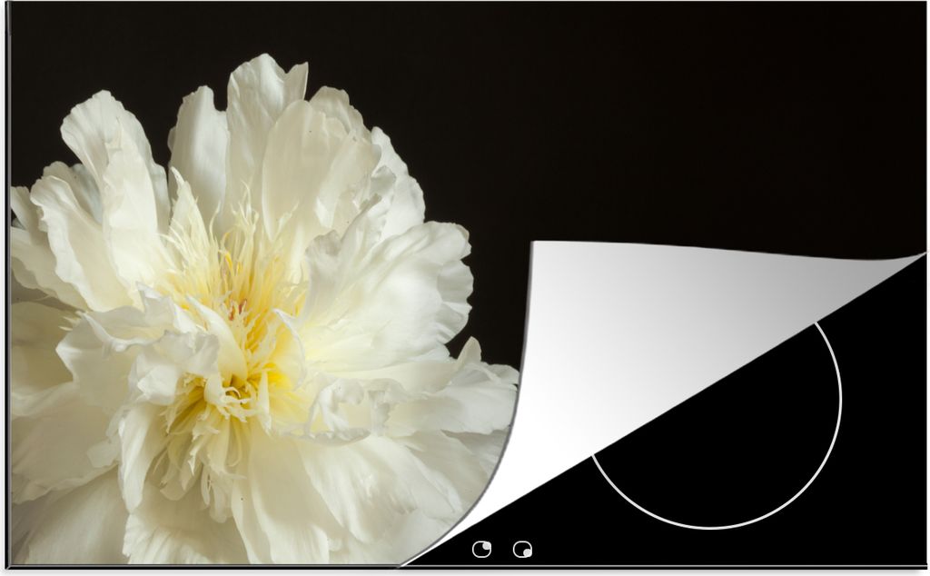 KitchenYeah Herdabdeckplatte Nahaufnahme einer weißen Pfingstrose vor schwarzem Hintergrund , 91x52cm, Küche Deko, Glaskeramikfeld Herdabdeckun...