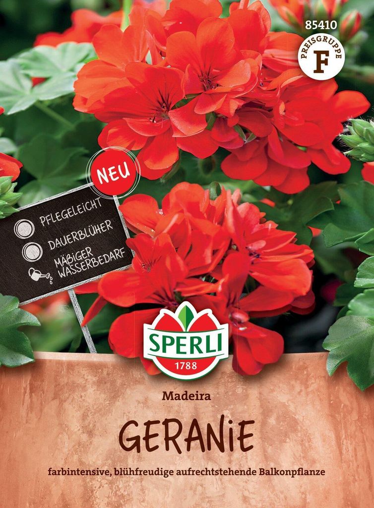SPERLI Geraniensamen Madeira F1 Pelargonium zonale 7 Produktbild 