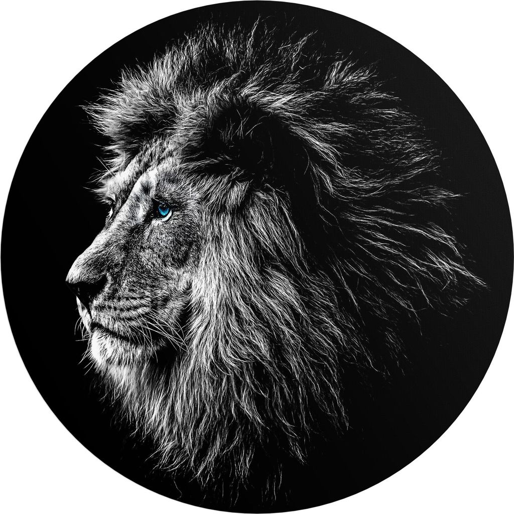 DEQORI Fototapete rund Ø 120 cm 'König der Tiere im Profil' Wand Tapete Leinwand Sticker