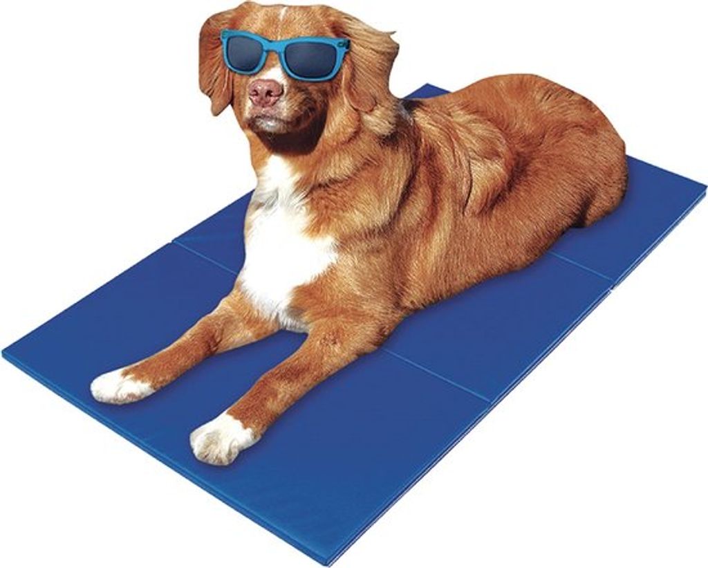 Kühlmatte XL für Hunde und Katzen - 80 x 60 cm - Kühlmatte Produktbild 