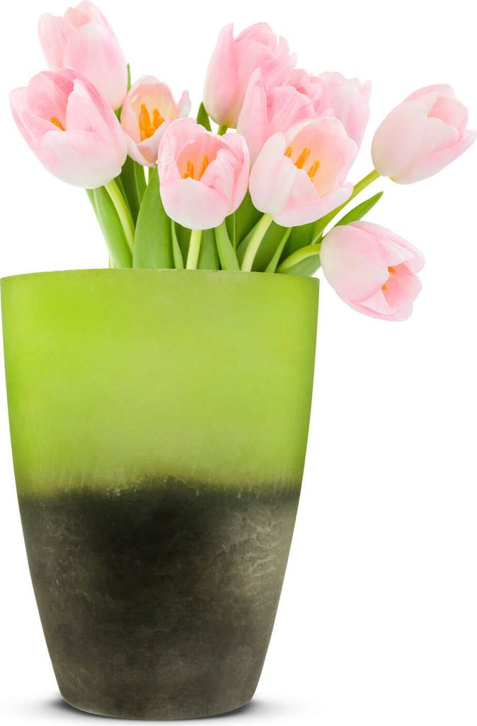 Blumenvase Oxi Tischvase Glasvase Dekovase Vase Blumentopf Pflanztopf (Grün)