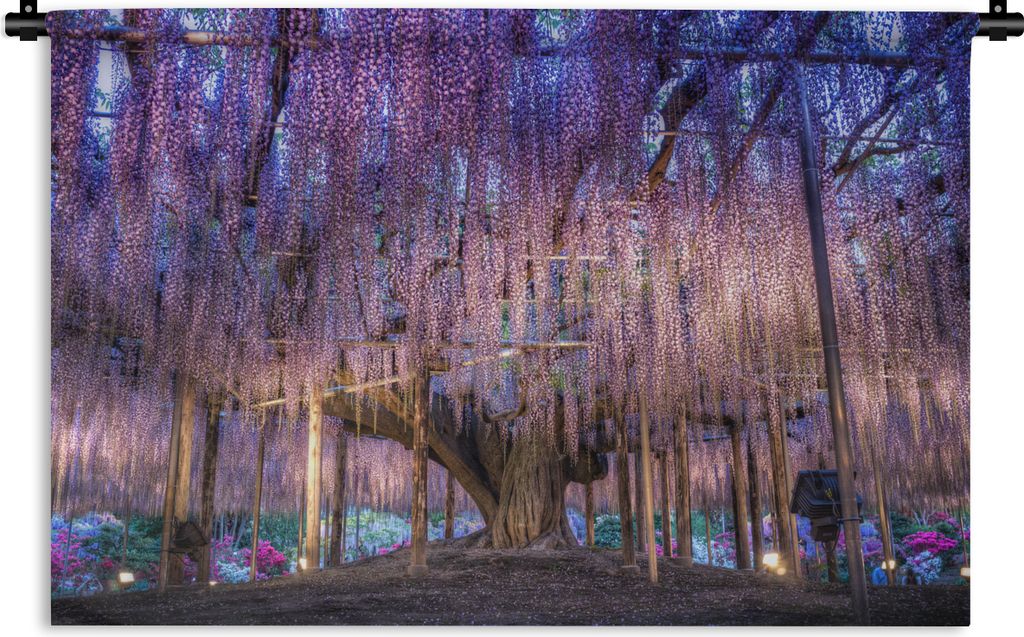 MuchoWow Wandteppich Wandbehang Glyzinien und ein Baum 60x40 cm Tapisserie Dekoration Wandtuch - Wanddekorationen