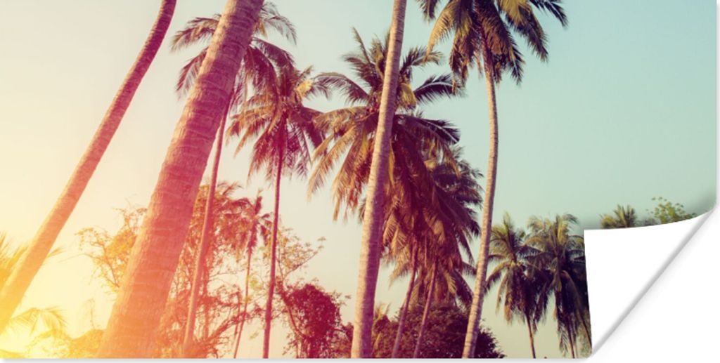 MuchoWow Poster Palme - Sommer - Retro - Sonne 80x40 cm - Wanddeko