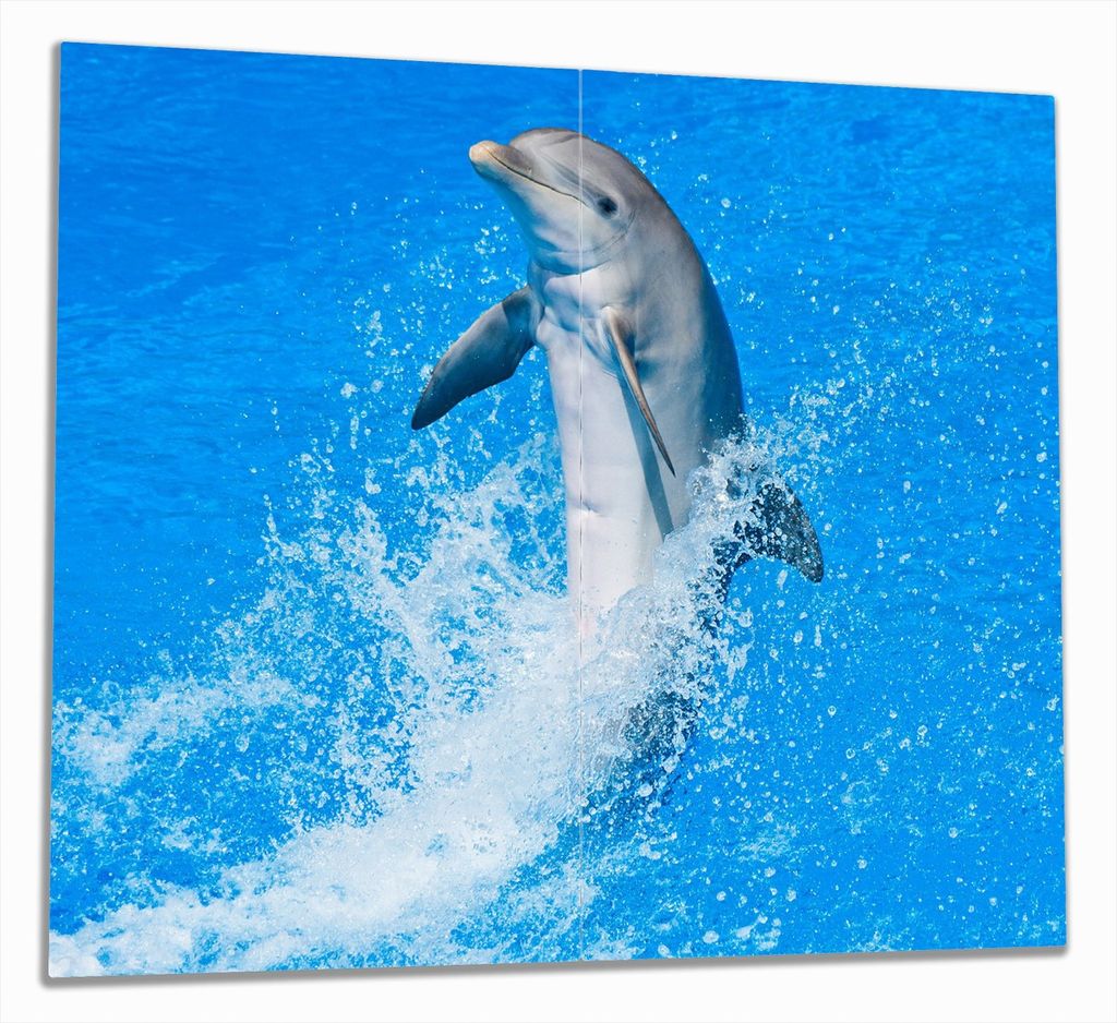 Wallario Herdabdeckplatte aus Glas, Größe 60 x 52 cm 2-teilig, Motiv Fröhlicher Delfin im blauen Wasser