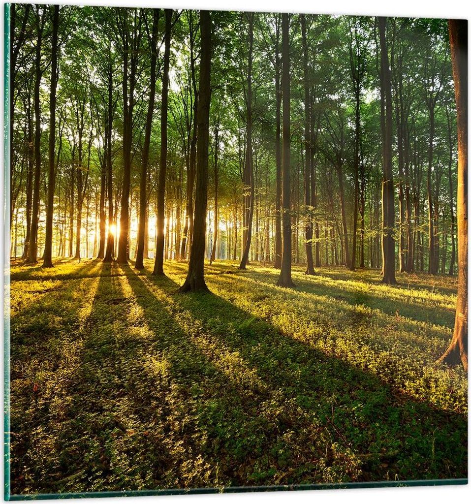 Bilder auf glas - Wald grün Sonnenstrahlen Natur - 70x70cm - Glasbilder - Wandbilder - Kunstdruck - zum Aufhängen bereit - Wanddekoration aus Gla...
