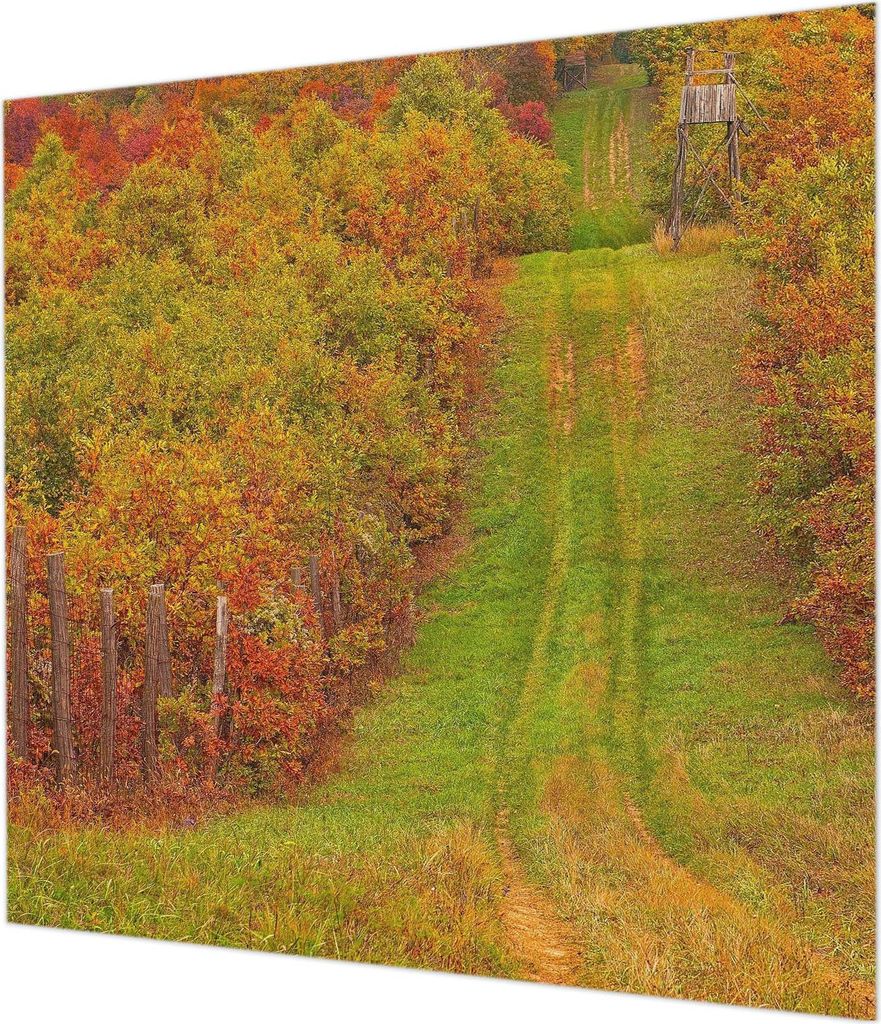 Wandtapete - Dekorative Tapete für Wohnzimmer - Tapetenfolie für Wanddekoration - 250x250 cm - Herbstfarben