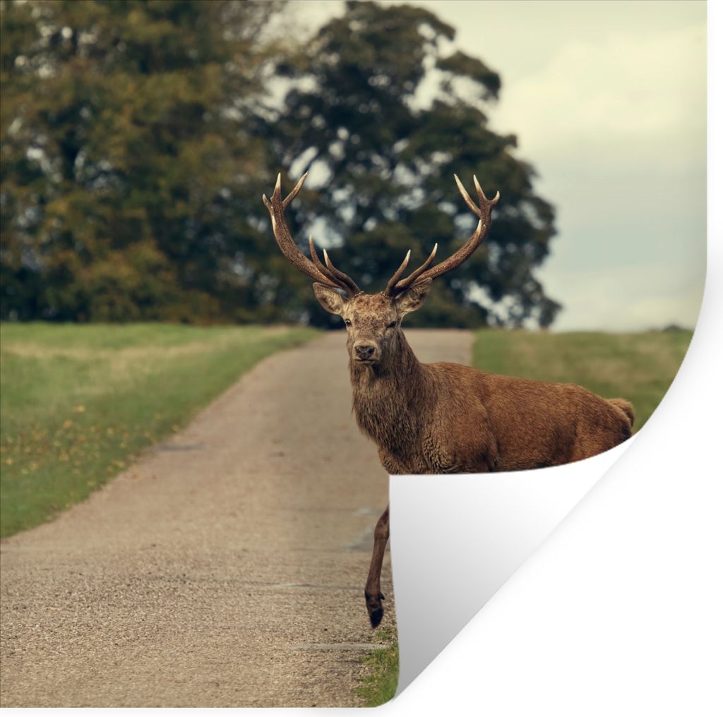 MuchoWow - Selbstklebend - Fototapeten