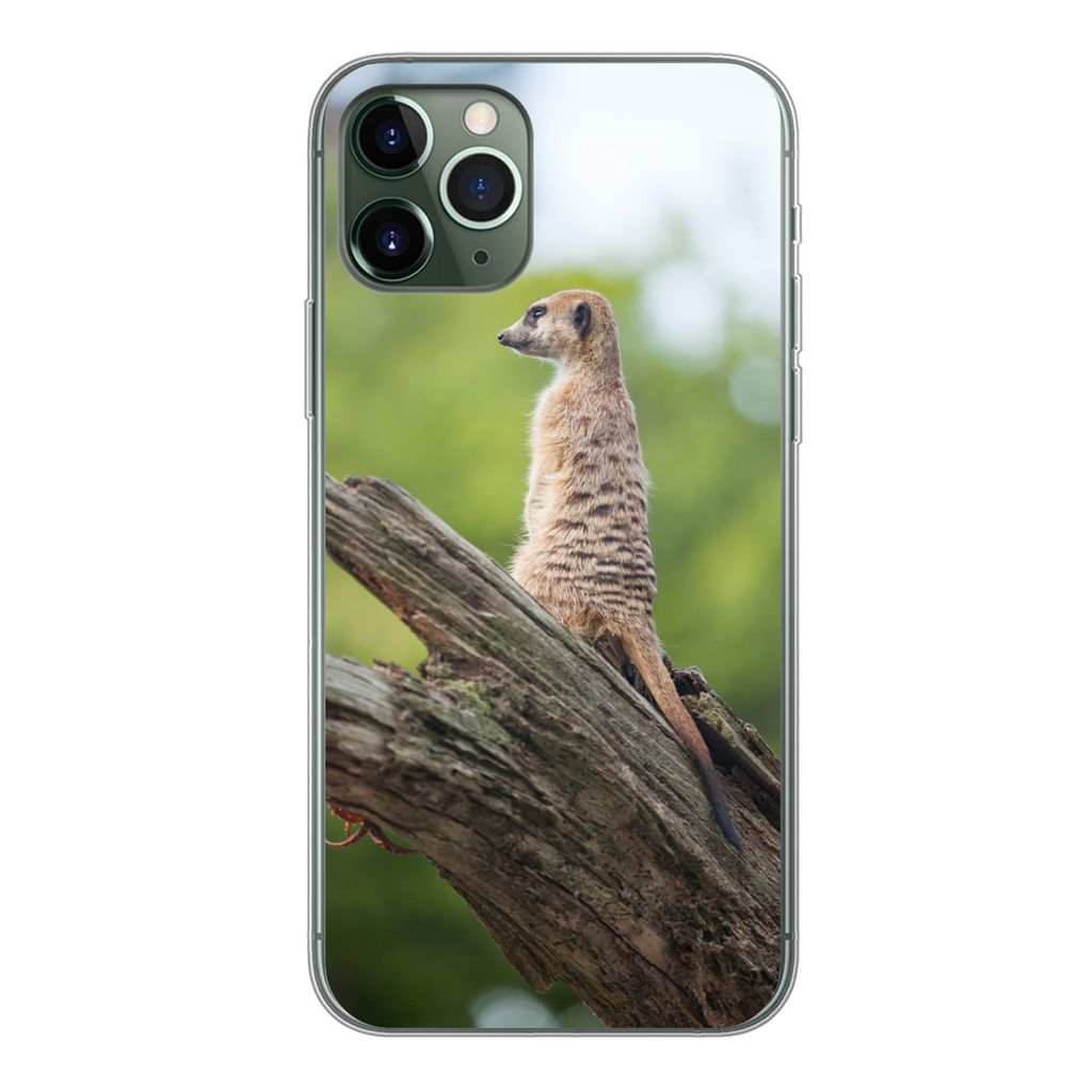MuchoWow Handyhülle Schutzhülle Hülle für iPhone 11 Pro Erdmännchen - Ast - Baum Silikon Softcase Handy Hülle - Handy