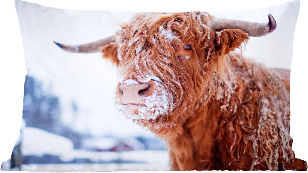 MuchoWow Scottish Highlanders - Scottish Highlander verschneit - 50x30 cm - Sofakissenbezüge - ohne füllung